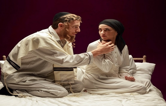 תמונת מופע: פינק ליידי- תיאטרון באר שבע